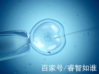 第三代试管婴儿
